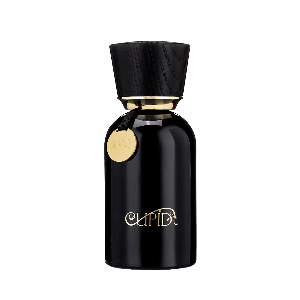 CUPID I LOVE – Cupid