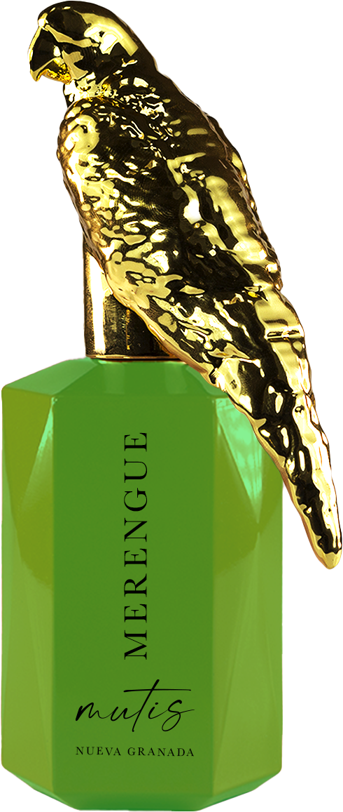 MERENGUE - MUTIS NUEVA GRANADA