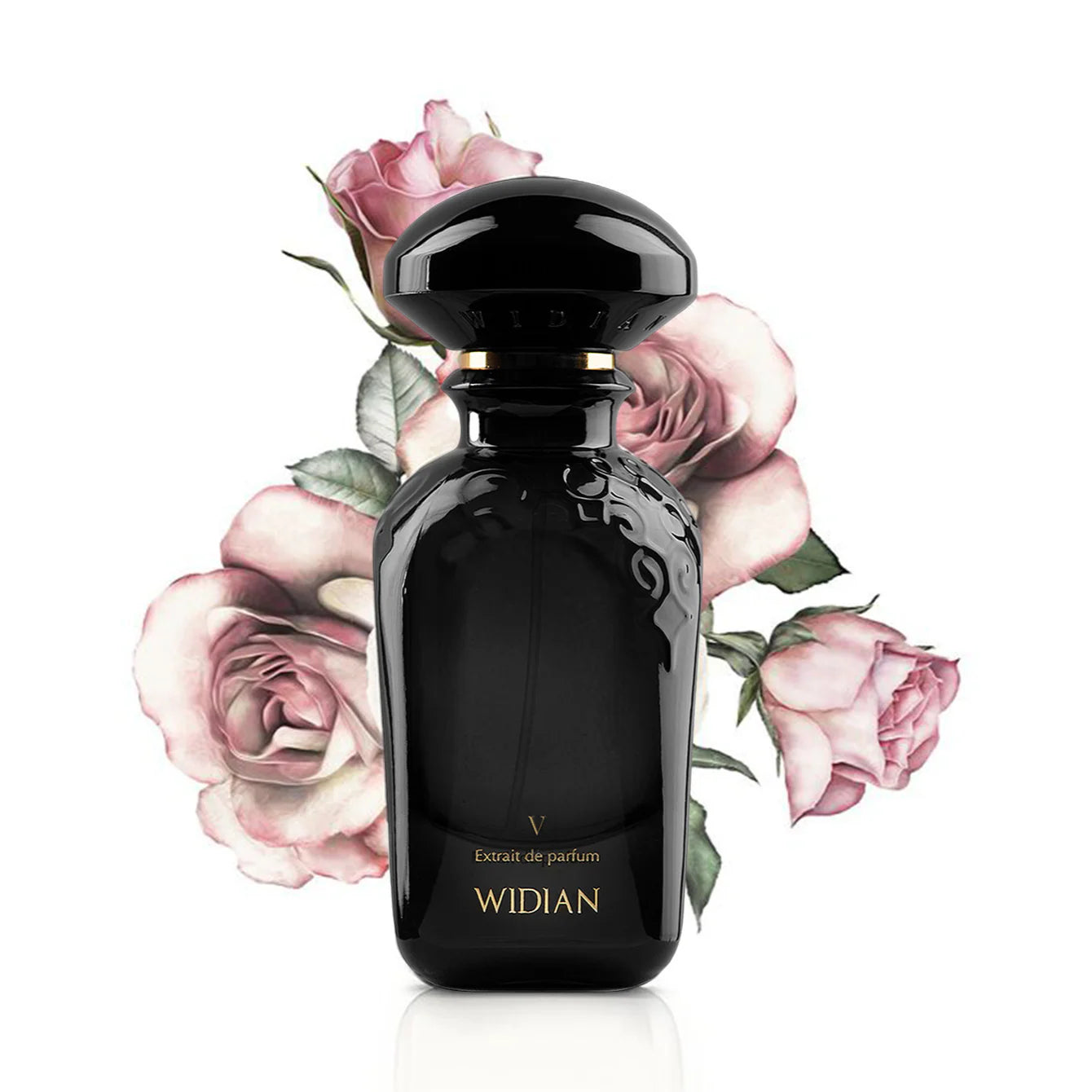 BLACK V - WIDIAN ARABIA