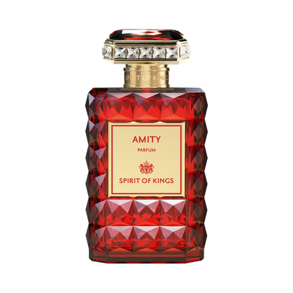 AMITY – SPIRIT OF KINGS