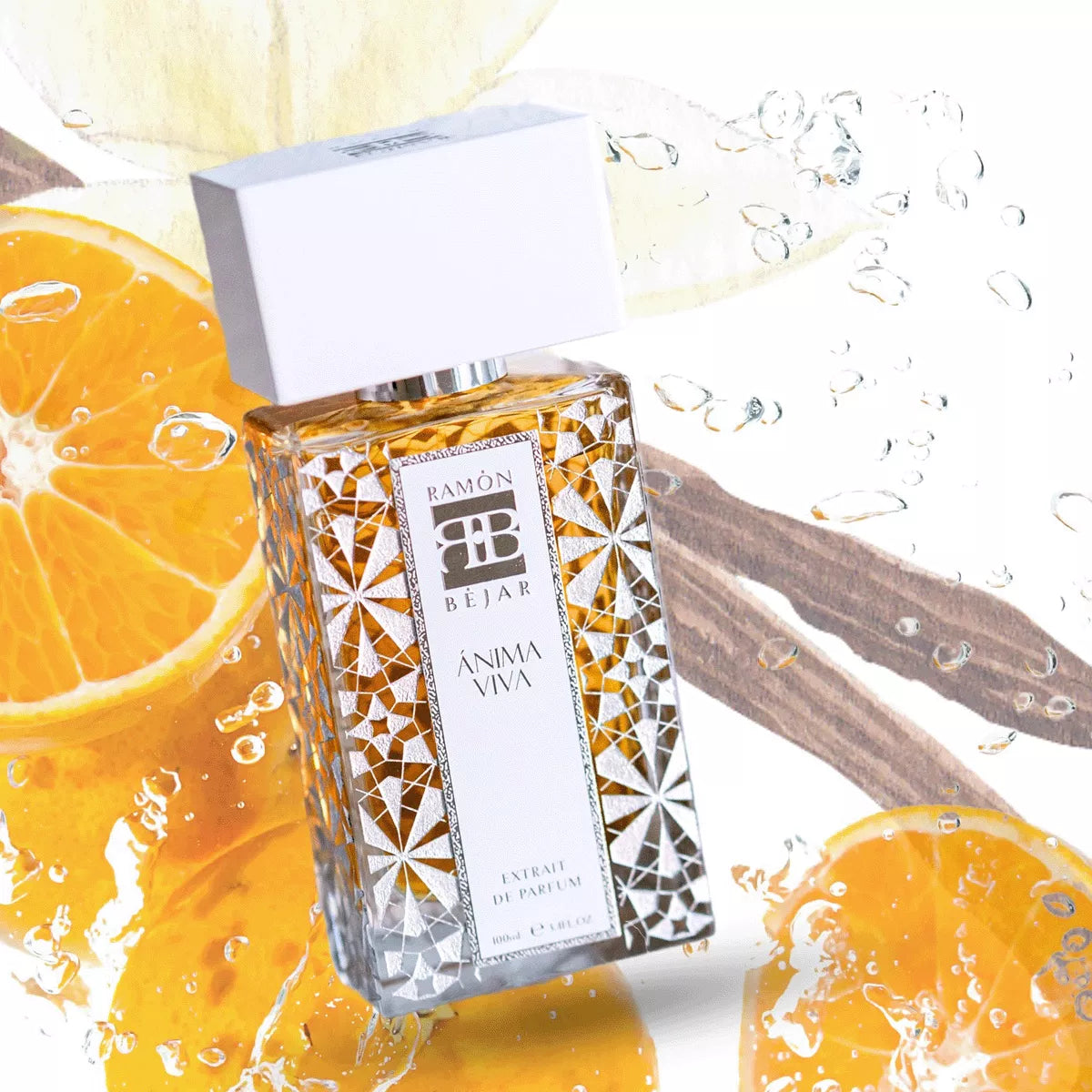 ANIMA VIVA - RAMON BEJAR