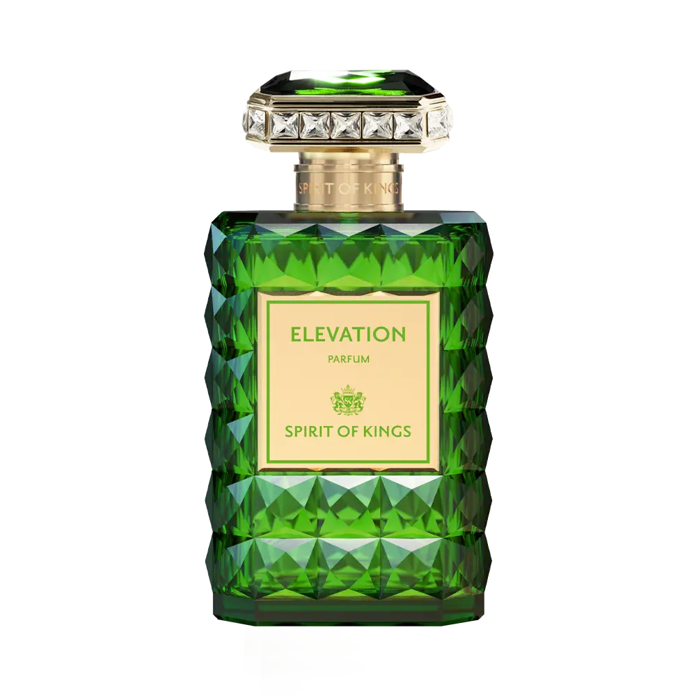 ELEVATION - SPIRIT OF KINGS