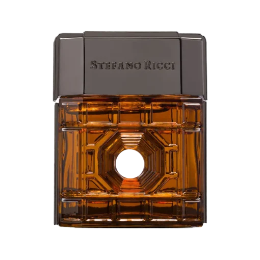 FIRENZE - STEFANO RICCI