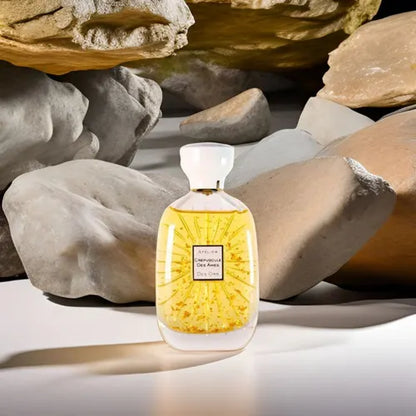 CREPUSCULE DES AMES - ATELIER DES ORS