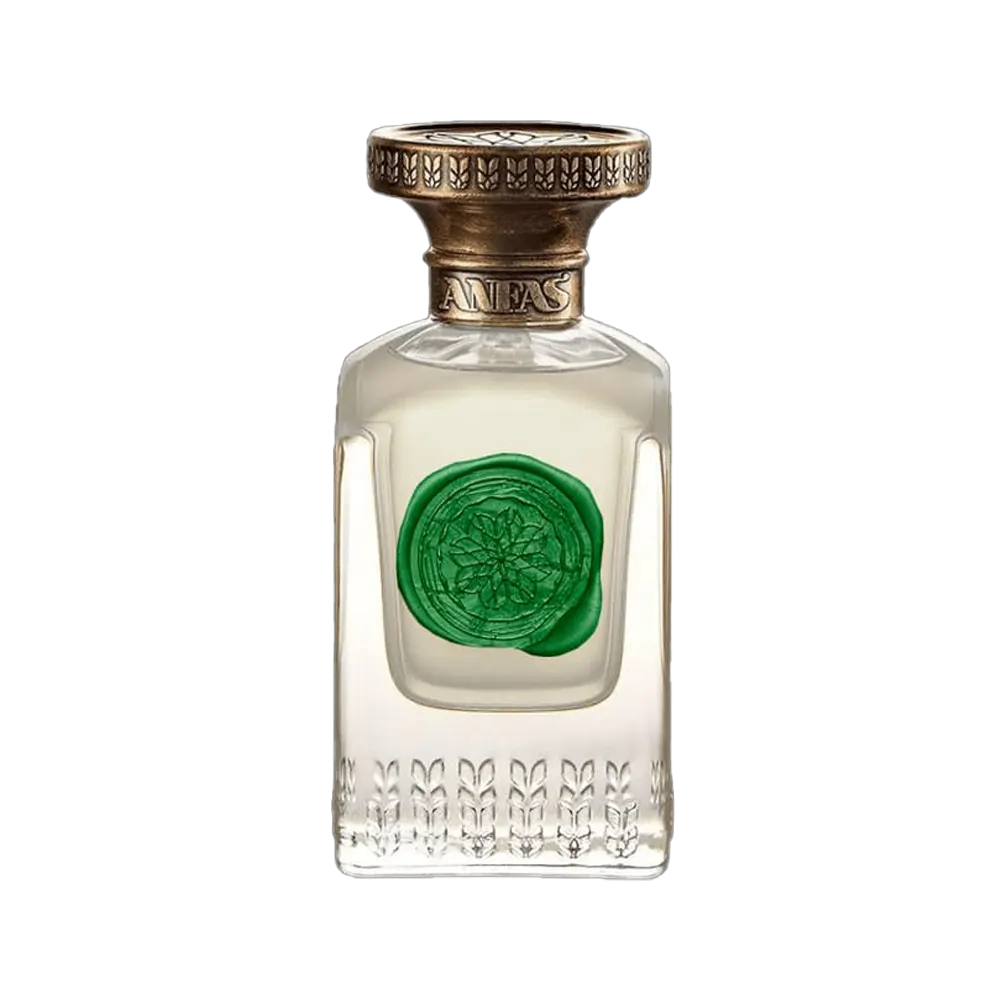 GAYA – Anfas