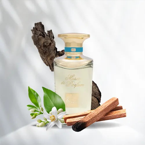 SOL - MUSIC DE PARFUM