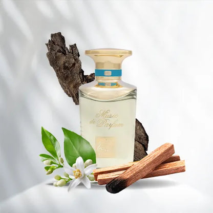 SOL - MUSIC DE PARFUM