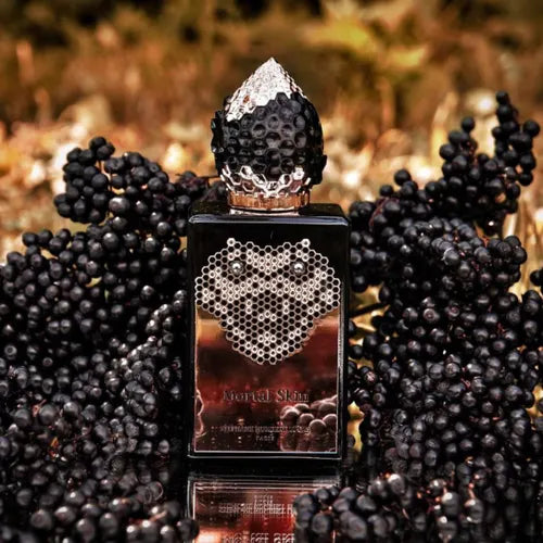 MORTAL SKIN - STEPHANE HUMBERT LUCAS