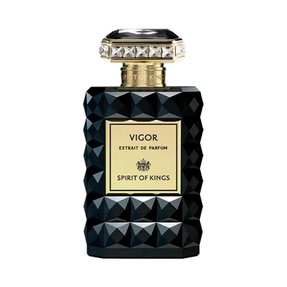 VIGOR - SPIRIT OF KINGS
