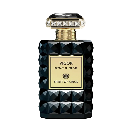 VIGOR - SPIRIT OF KINGS