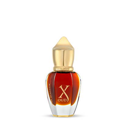 JAVA BLOSSOM - XERJOFF