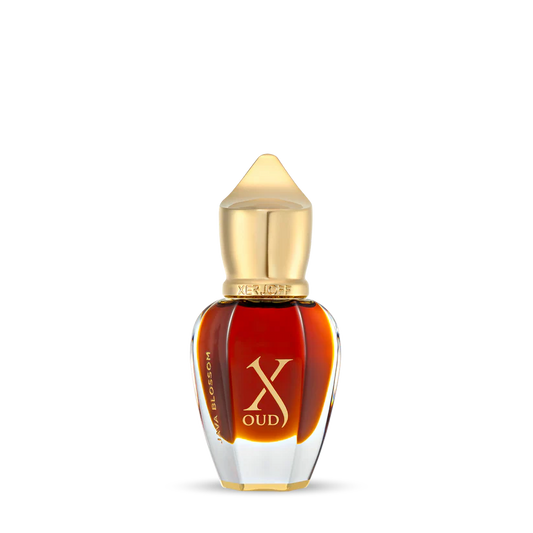 JAVA BLOSSOM - XERJOFF