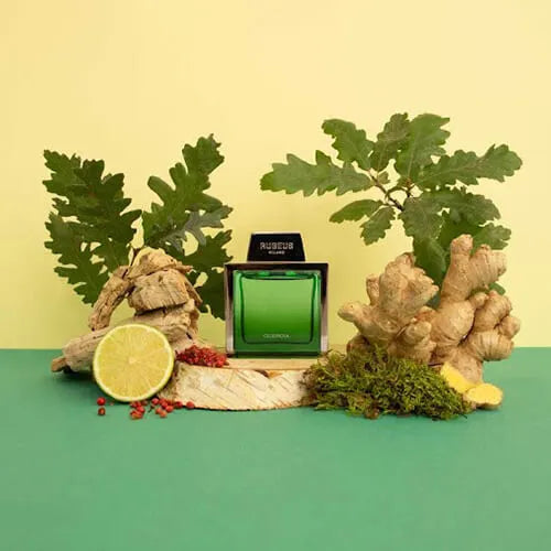 I GIARDINI DI VENEZIA QUERCIA - RUBEUS MILANO