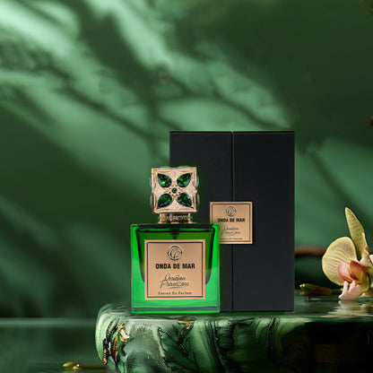 ONDA DE MAR - CHRISTIAN PROVENZANO