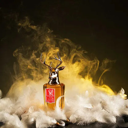 KROPP & SAJAL - PANA DORA