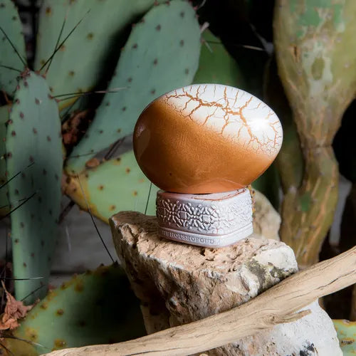 WONDERLY - THE HOUSE OF OUD THOO